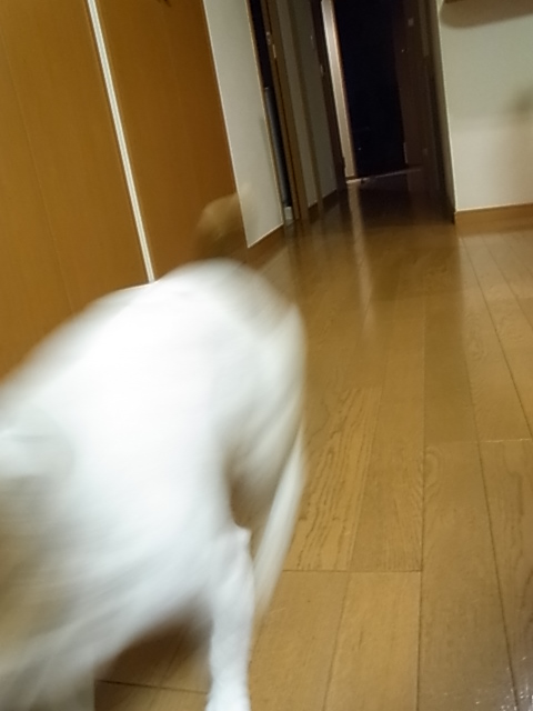 d0143957_1416390.jpg
