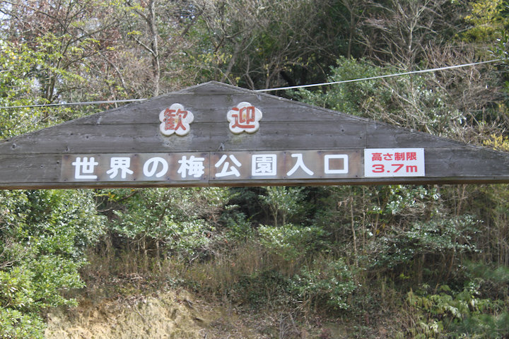 c0178561_20305086.jpg