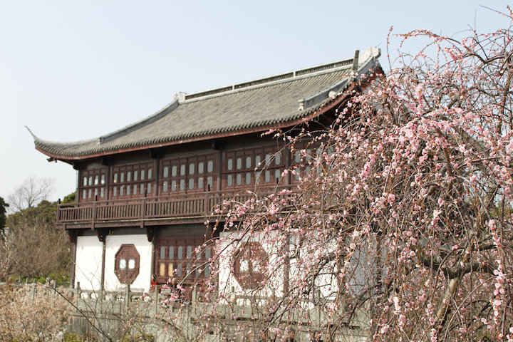 c0178561_2031529.jpg