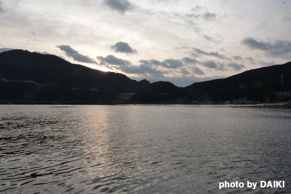 2010.03.12 Fri. 柏島_e0158261_229866.jpg