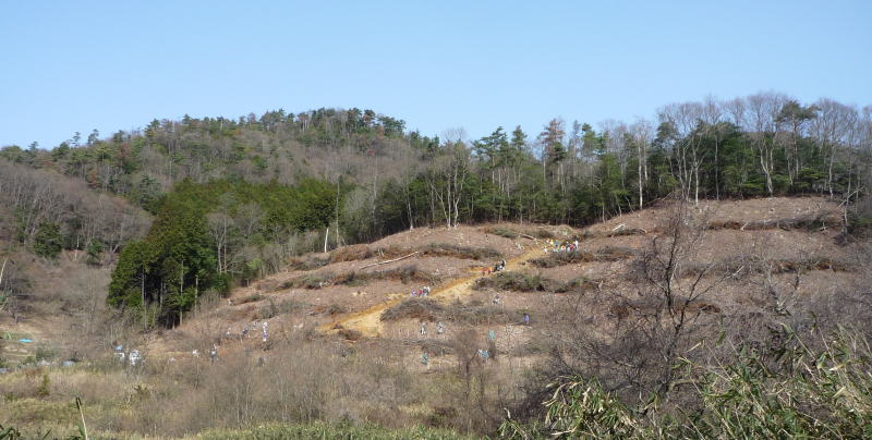 b0129962_1791330.jpg