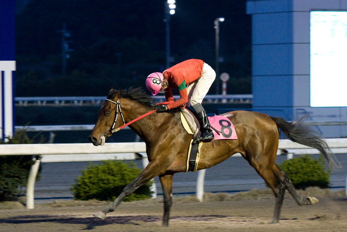 永森大智騎手、通算勝利200勝達成～_a0077663_2262935.jpg