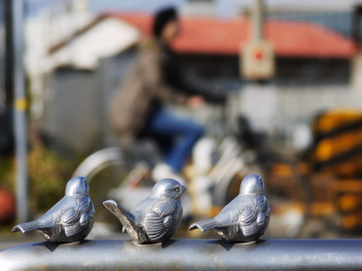 江井ヶ島（えいがしま）散歩写真_c0191967_20173275.jpg