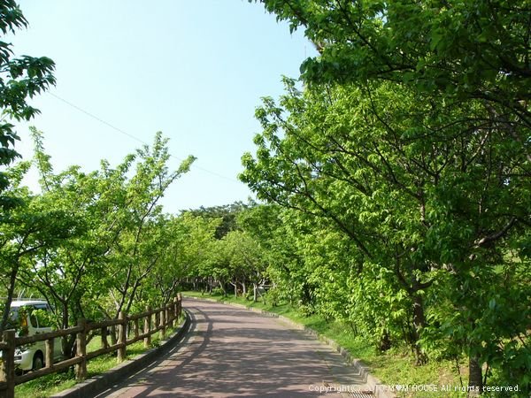 c0139375_1404851.jpg