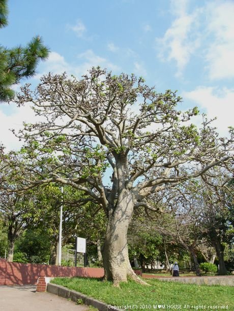 c0139375_1421767.jpg