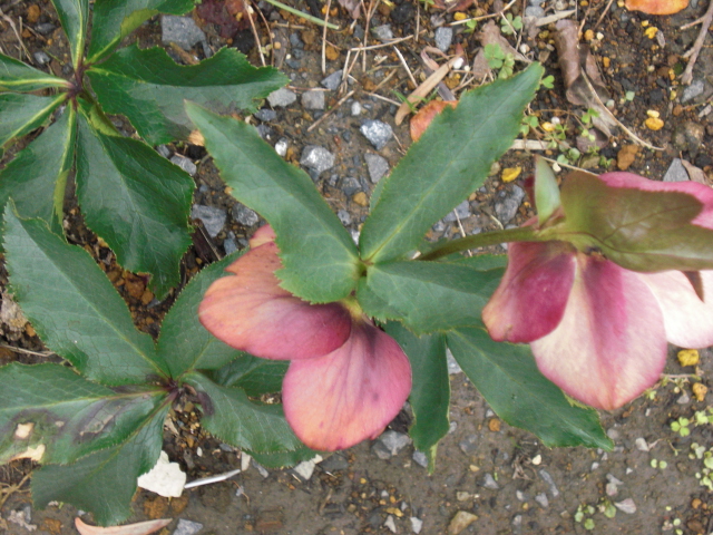 b0157276_2125669.jpg