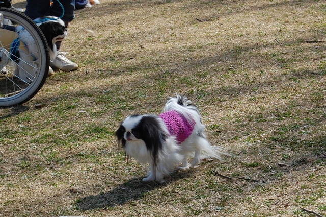 a0155999_23562115.jpg