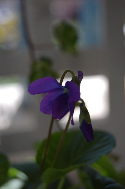 c0220399_8382183.jpg