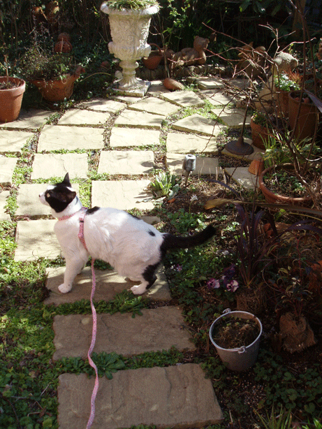 c0129702_0121758.gif