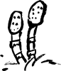 d0028304_16172152.gif