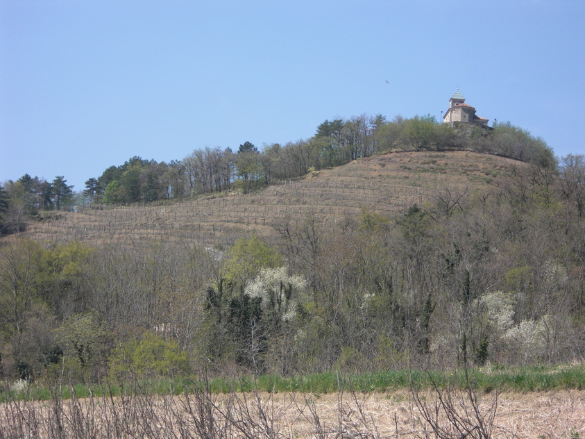 c0109306_14561438.jpg