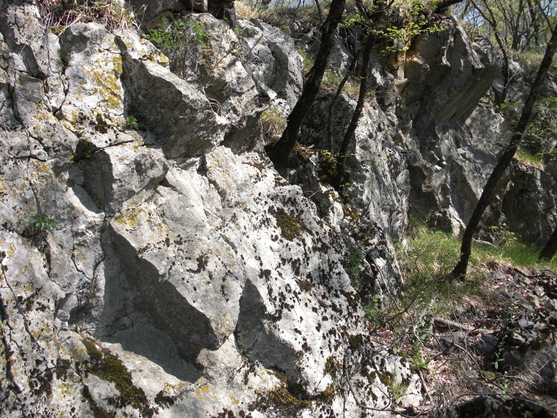 c0109306_14572830.jpg