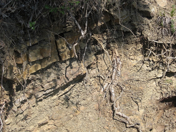 c0109306_15429100.jpg