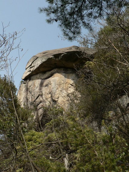 f0219710_8432851.jpg