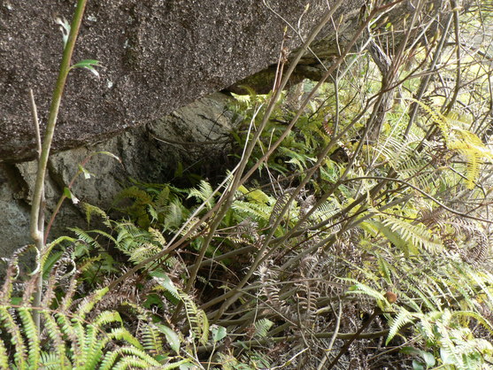 f0219710_845465.jpg