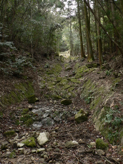f0219710_859231.jpg