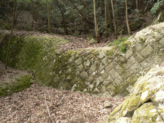 f0219710_945865.jpg