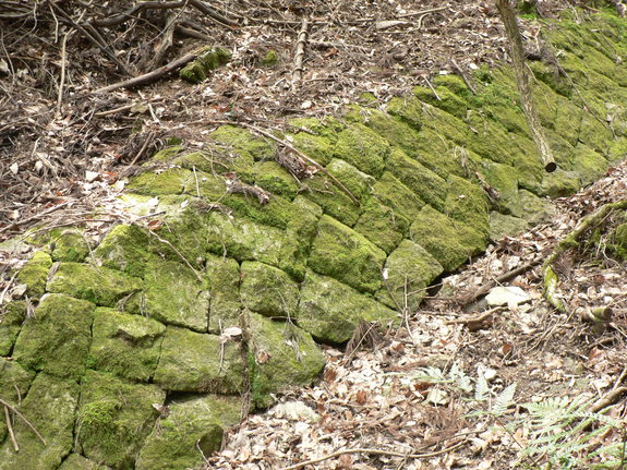f0219710_94861.jpg
