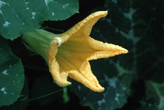 f0079111_23133056.jpg