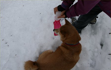 3/13　雪どっちゃり～_d0143214_22543237.jpg