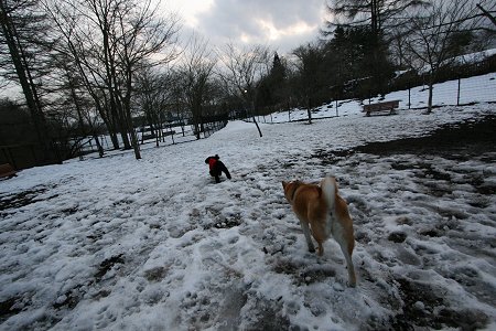 3/13　雪どっちゃり～_d0143214_22594350.jpg