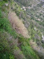 f0133814_2220434.jpg