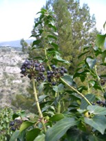 f0133814_2242348.jpg