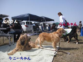 e0136815_20232637.jpg
