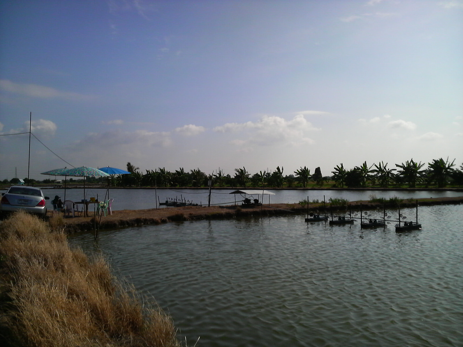 藤川さん三度目の海外出張_a0153216_21101232.jpg