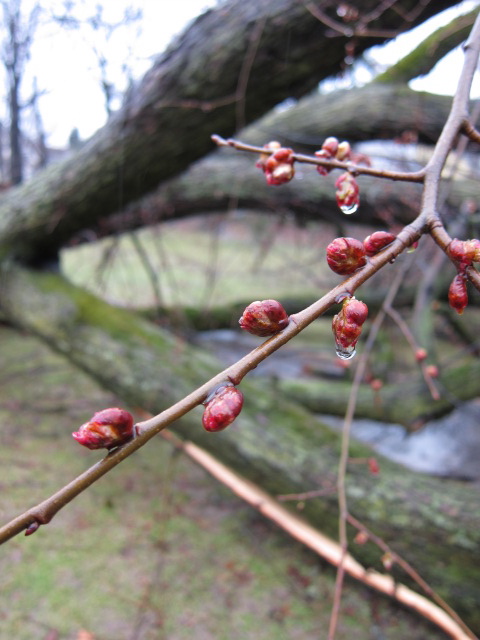 c0120817_84264.jpg