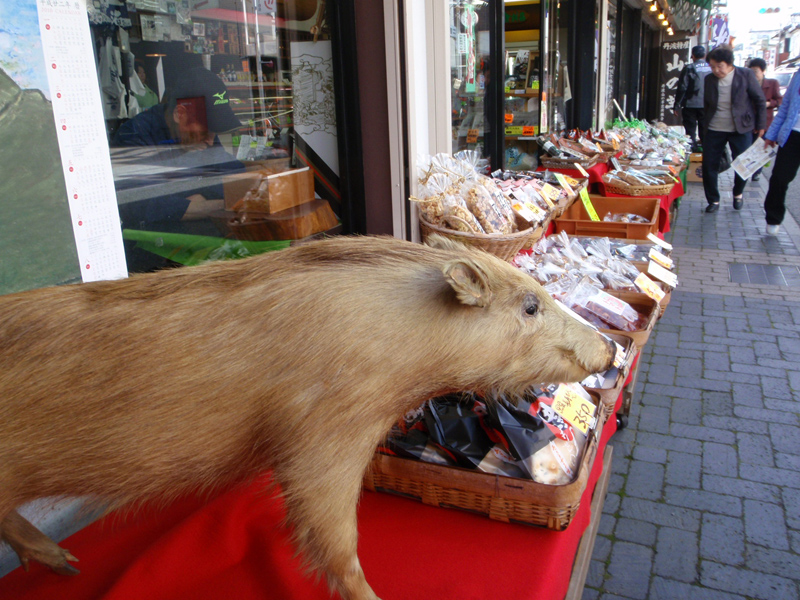 a0001020_945334.jpg
