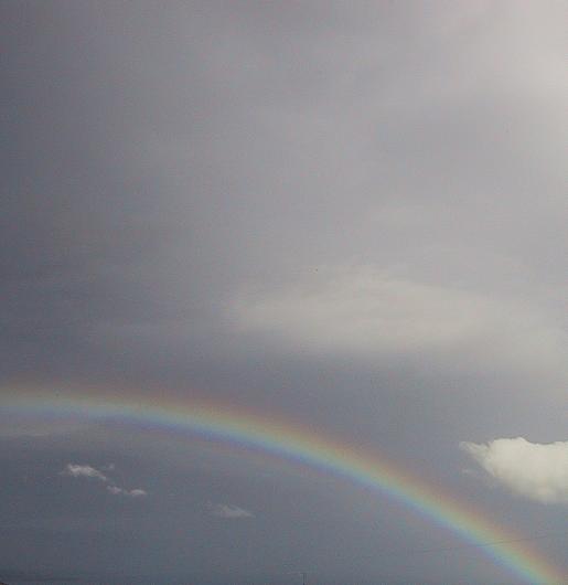 c0097620_20241779.jpg