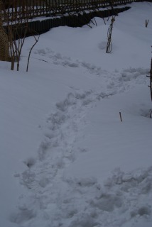 f0170524_13212130.jpg