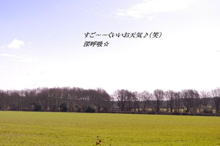 運命のお仕事ケータリング 16 ドキドキてんぷら_d0104926_204664.jpg