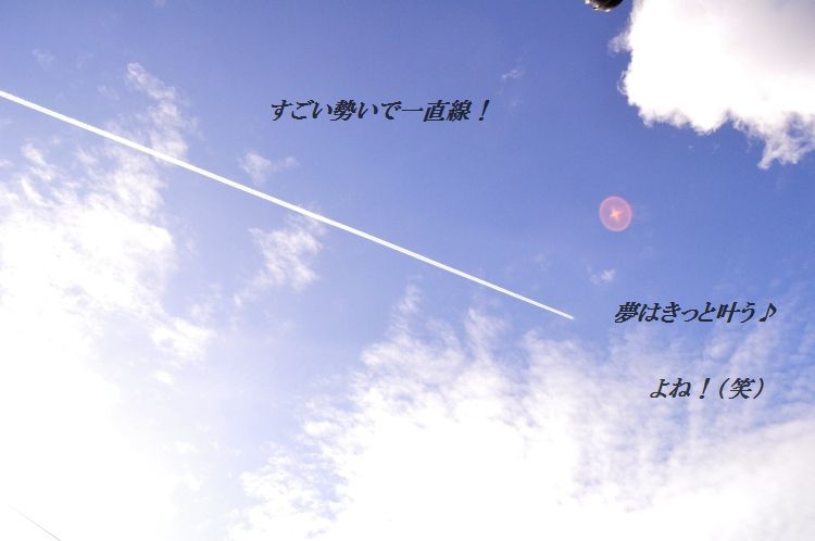 運命のお仕事ケータリング 16 ドキドキてんぷら_d0104926_22570.jpg