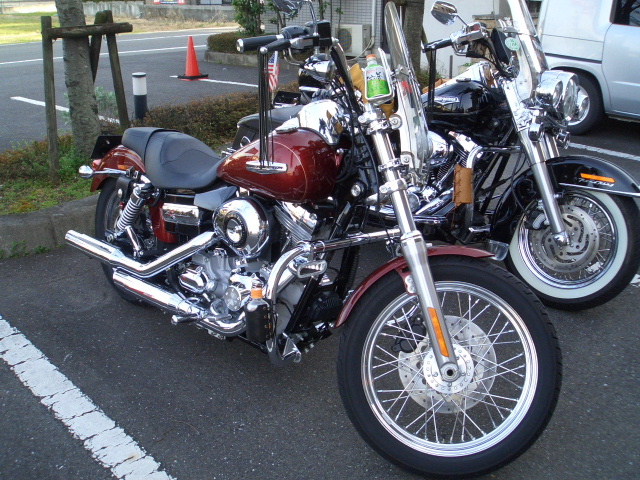 a0099129_94285.jpg