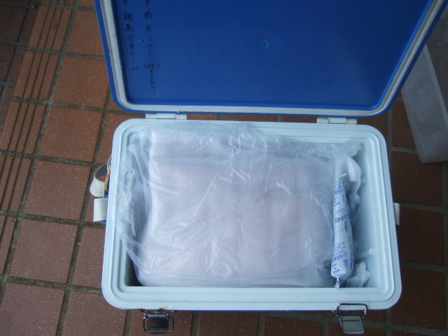三崎の朝市.....マグロ&鮮魚などなど_b0137932_2142824.jpg