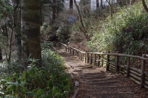 c0113733_1112556.jpg
