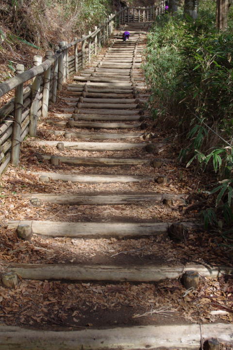 c0113733_114352.jpg