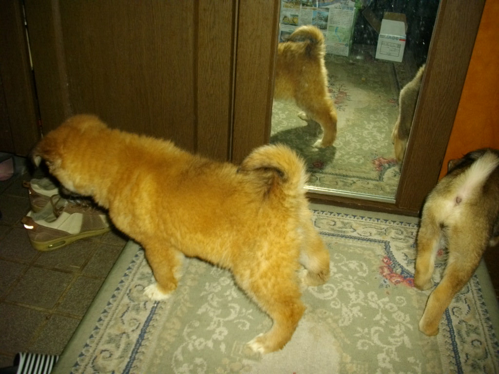 e0123136_18443382.jpg