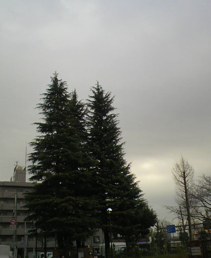 c0125637_2394862.jpg