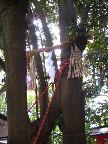 b0168840_22154490.jpg