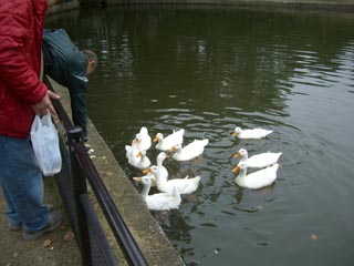 e0110940_2573955.jpg