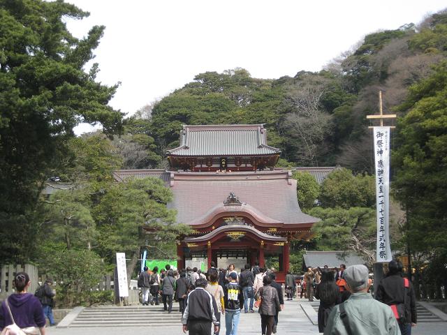 【その後の鶴岡八幡宮の大銀杏】_b0009849_18515119.jpg