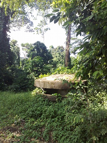 e0195952_16392353.jpg