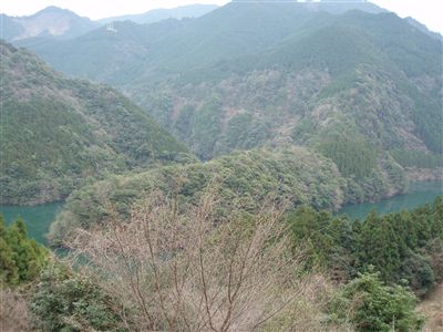 徳島県上勝町に行ってきました。(1)_d0082655_23145374.jpg
