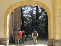 3月月例会/株観察・芽掻き他_a0094959_2119263.jpg