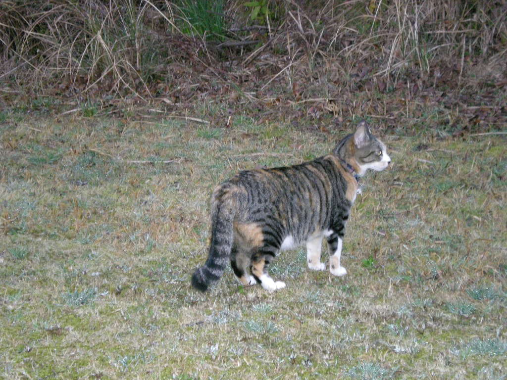 2010年3月15日(月)「ランチとワインの会」と「アバター」!_f0060461_1001119.jpg