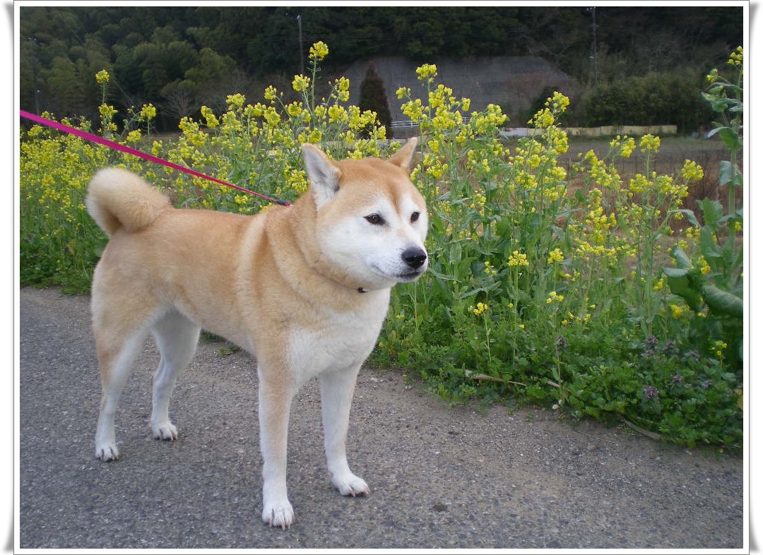 2010年3月15日(月)「ランチとワインの会」と「アバター」!_f0060461_14121666.jpg