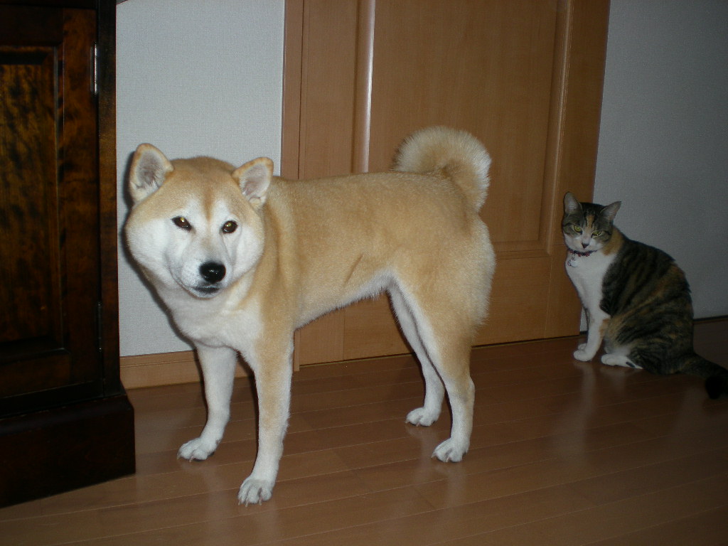 2010年3月15日(月)「ランチとワインの会」と「アバター」!_f0060461_9563064.jpg